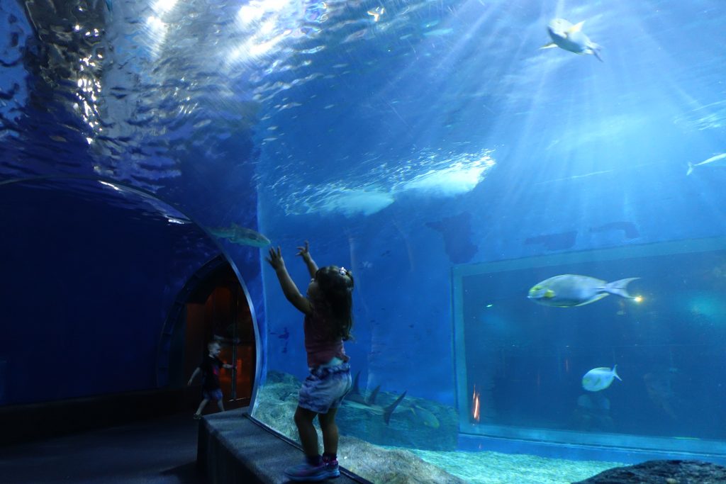 roteiro tailandia com crianca